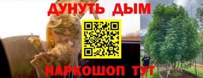 a pvp Брянск