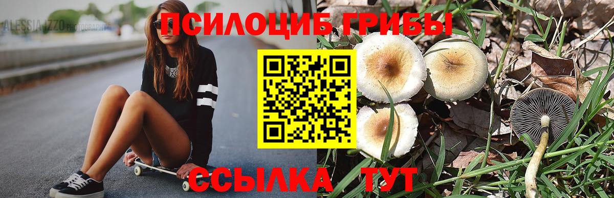 Псилоцибиновые грибы прущие грибы Нурлат